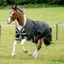 Horseware Amigo Bravo 12 XL Original Lite 0g Turnout Rug - Black/Titanium Grey Silver