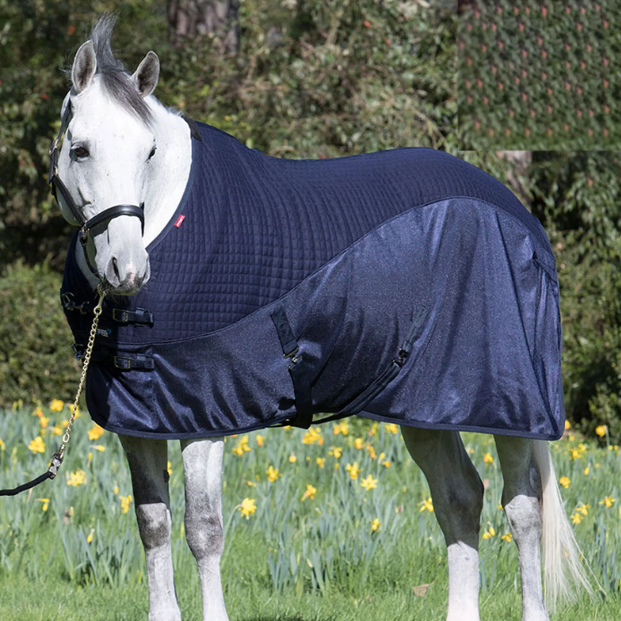 Ariat Rug LeMieux Thermo-Cool Light Rug - Navy