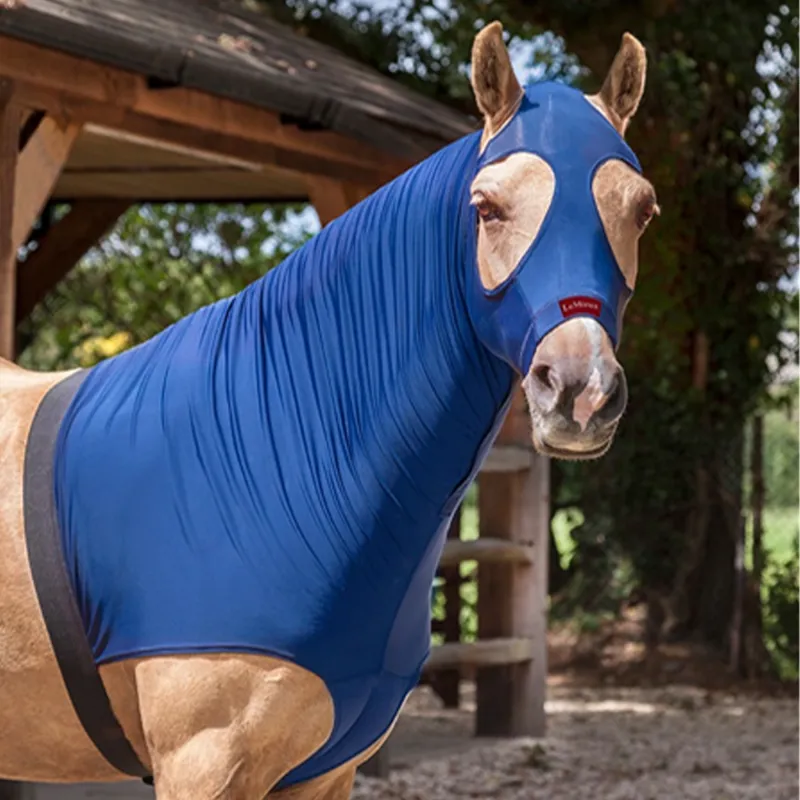 LeMieux Lycra Hood - Benetton Blue