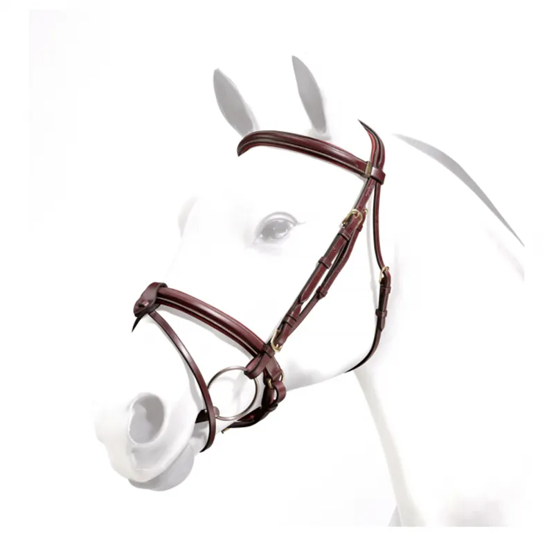 Equipe Emporio Padded Bridle With Crank Nose Band and Detachable Flash -  New Market