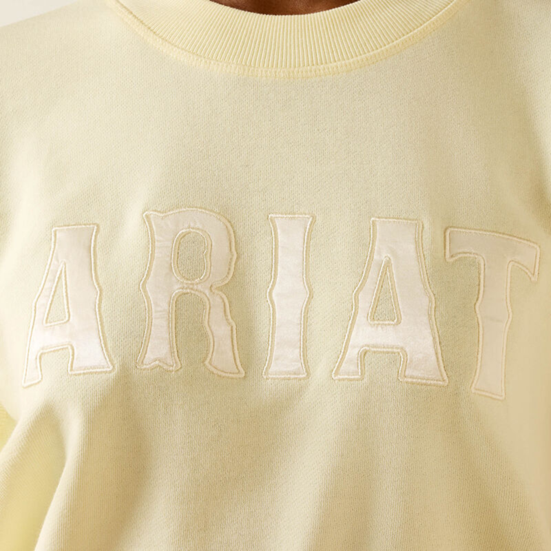 Ariat Women's Essential Crew Sweatshirt - Pear Sorbet-2