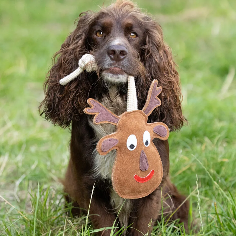 Benji and Flo Christmas Dog Toy - Reindeer-1