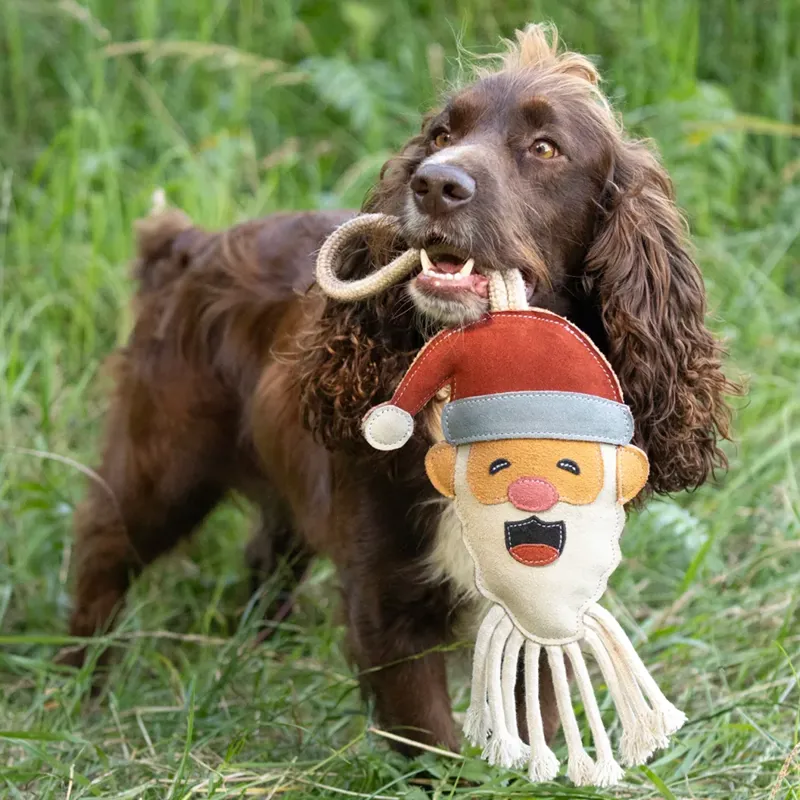 Benji and Flo Christmas Dog Toy - Santa Claus-1
