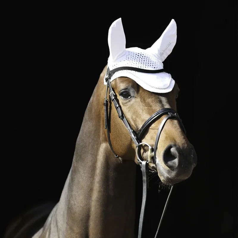 Bucas Fly Veil - White - Full