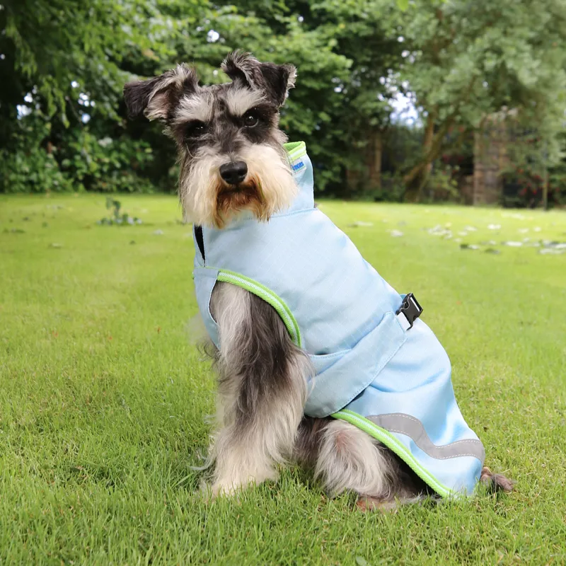 Bucas Freedom 50g Dog Rug - Cool Blue