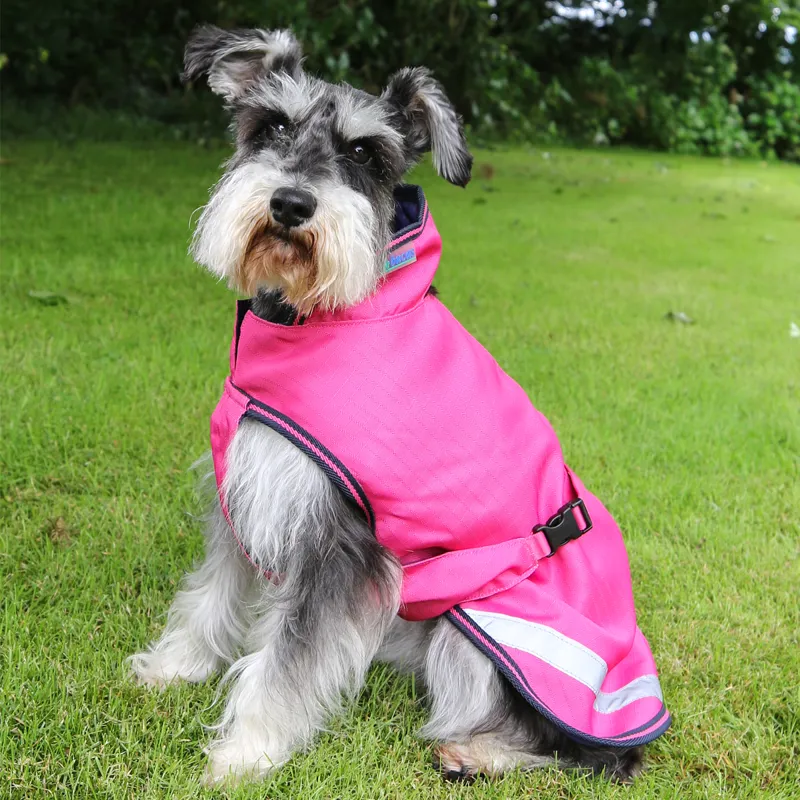 Bucas Freedom 50g Dog Rug - Fuchsia