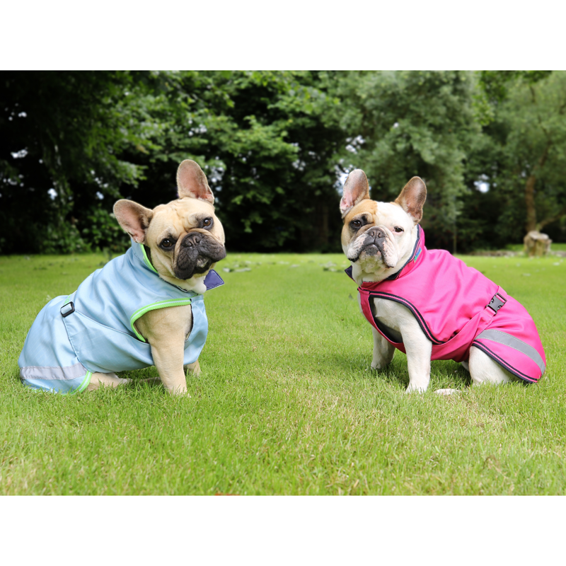 Bucas Freedom 50g Dog Rug - Fuchsia-1