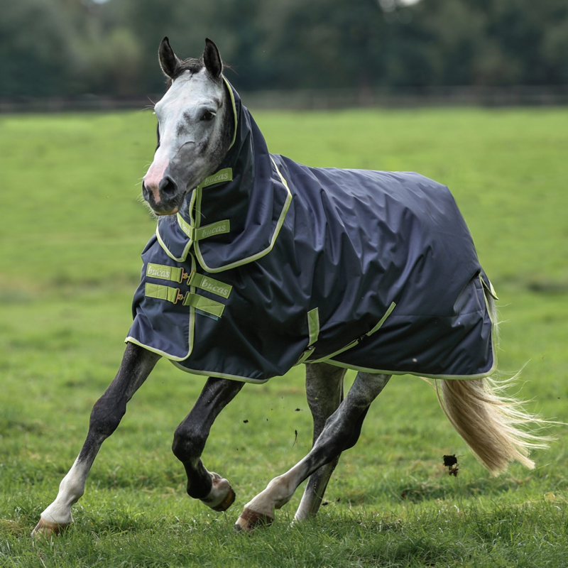 Bucas Oasis 100g Turnout Rug + Neck - Grey/Lime-3