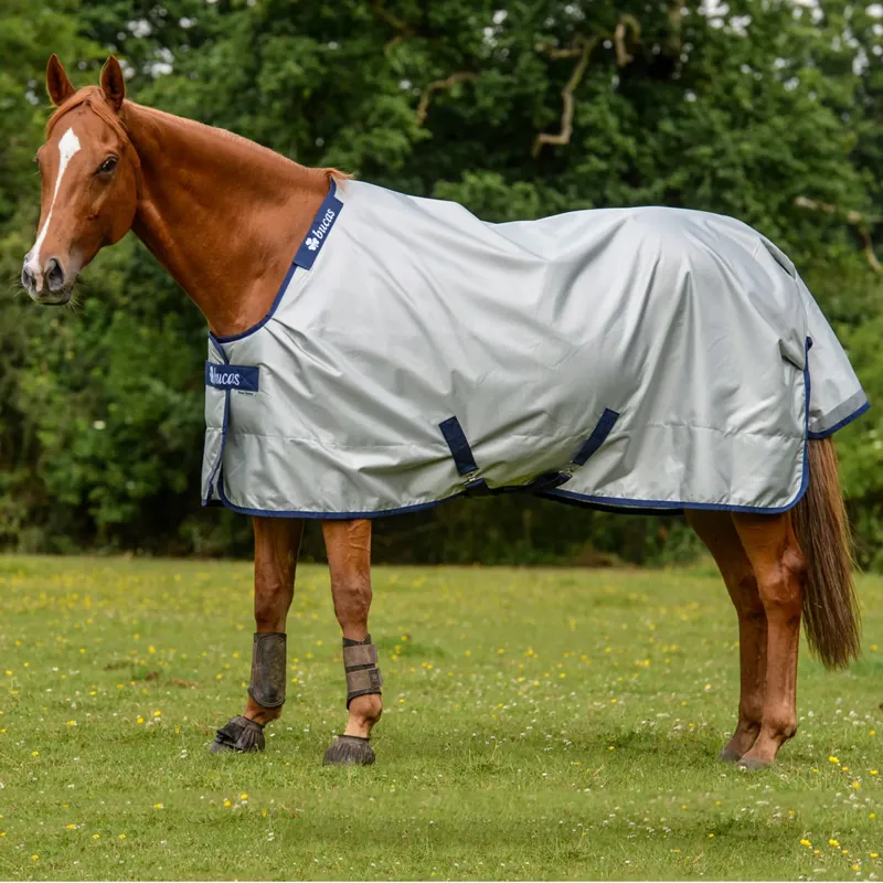Bucas Power Light 0g Standard Neck Turnout Rug - Silver