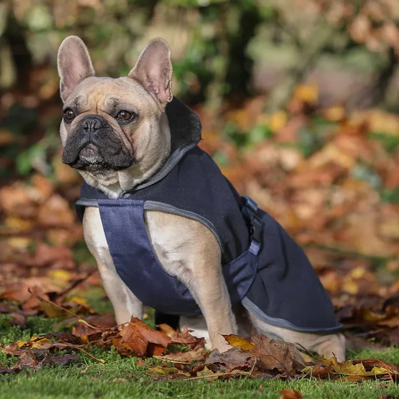 Bucas Show-Line Dog Rug - Navy/Grey