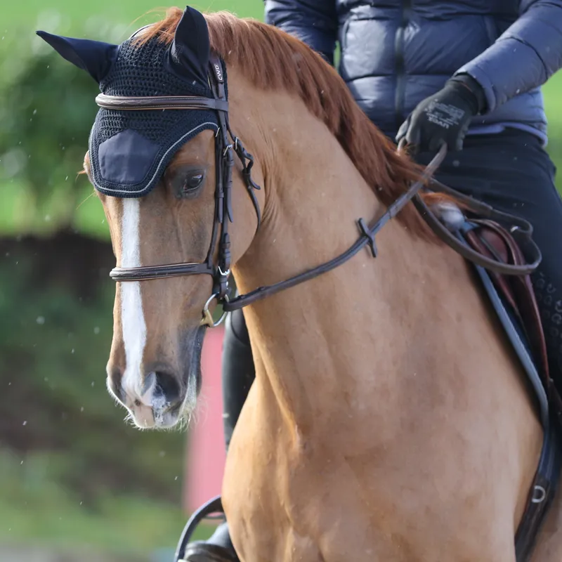 Bucas Show-Line Fly Veil - Navy/Grey