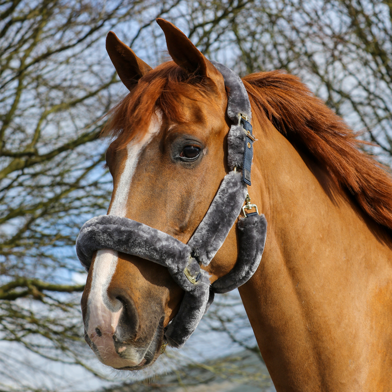 Bucas Show-Line Full Fur Headcollar - Navy/Grey-1