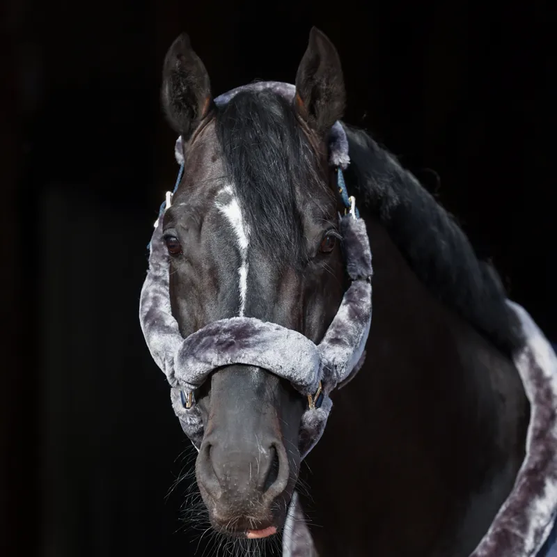 Bucas Show-Line Full Fur Headcollar - Navy/Grey