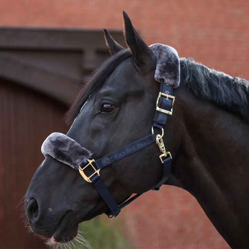 Bucas Show-Line Half Fur Headcollar - Navy/Grey