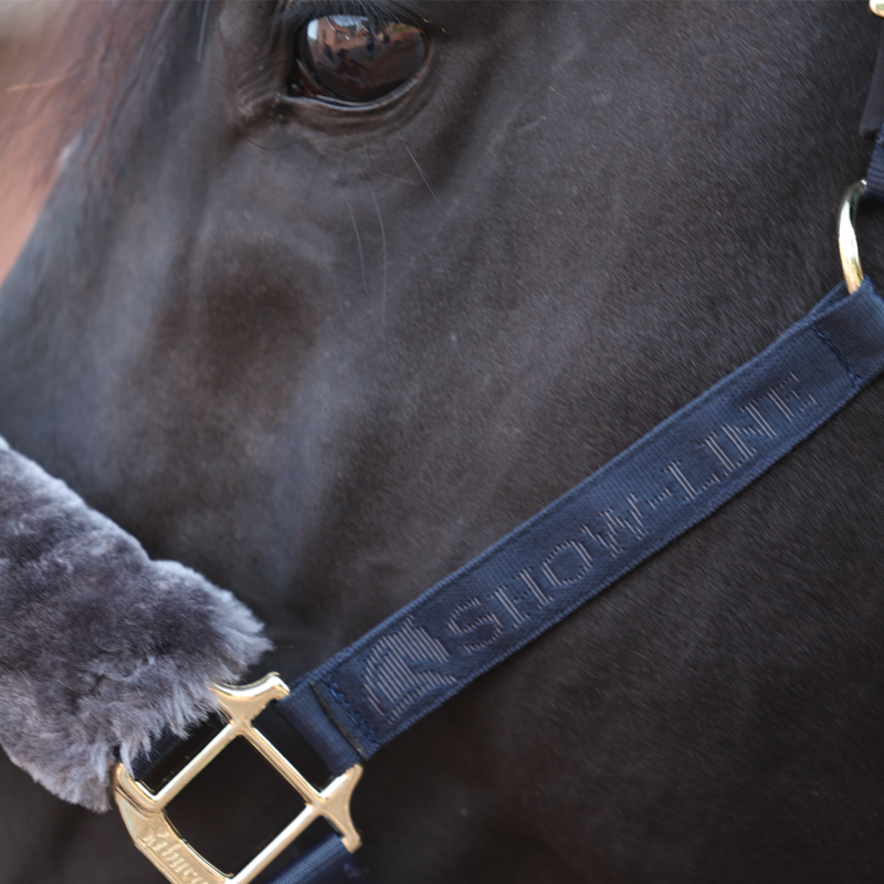 Bucas Show-Line Half Fur Headcollar - Navy/Grey-1