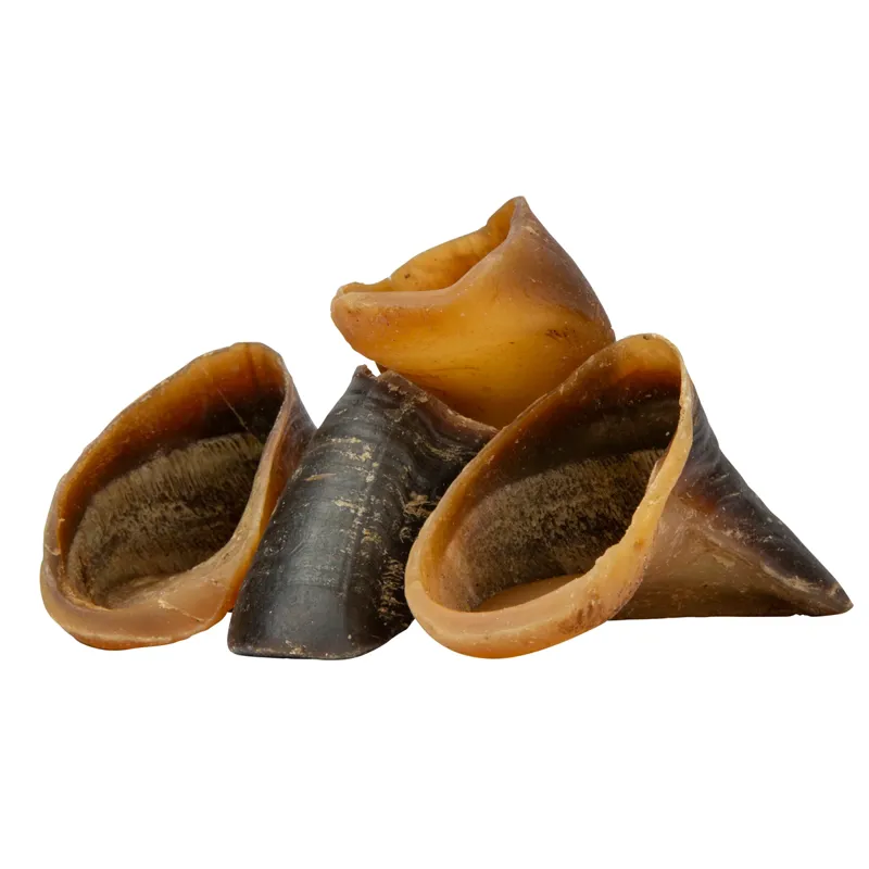 Digby and Fox Buffalo Hoof - 600g-1