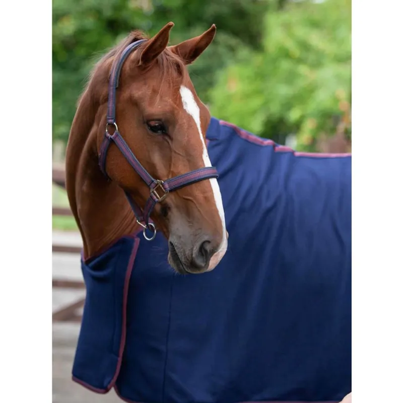 Cameo Core Show Rug - Navy/Burgundy-2