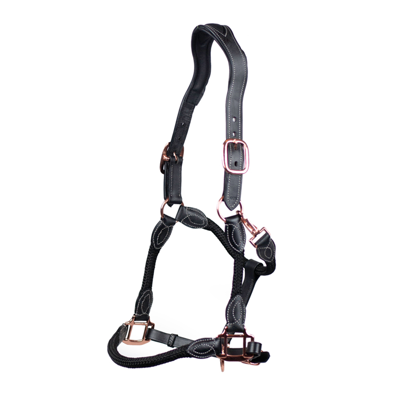 Cameo Anatomic Leather Headcollar - Black/Rose Gold-1