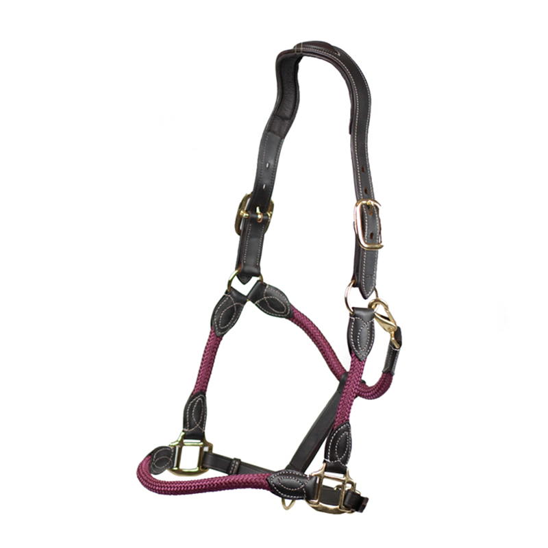 Cameo Anatomic Leather Headcollar - Plum-1