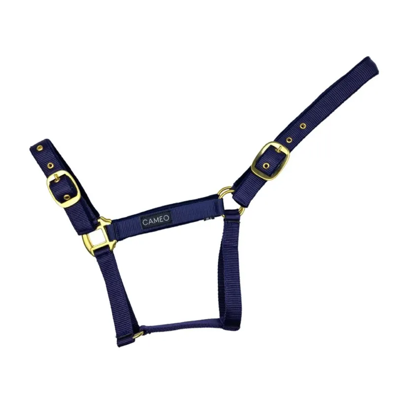 Cameo Padded Headcollar - Indigo