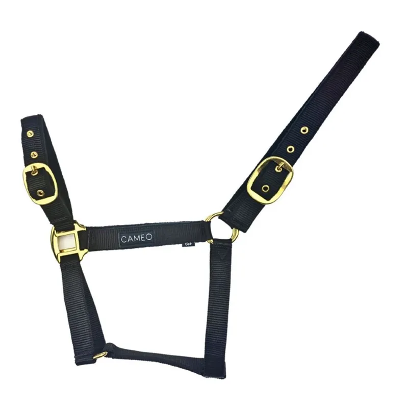 Cameo Padded Headcollar - Liquorice