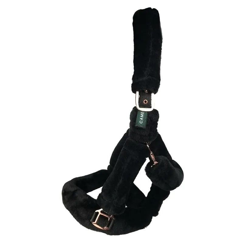 Cameo Deluxe Headcollar - Black/Rose Gold