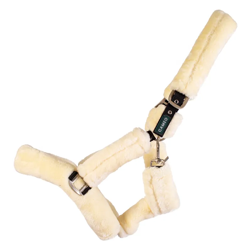 Cameo Deluxe Headcollar - Cream