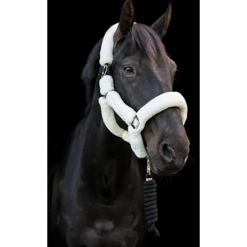 Cameo Deluxe Headcollar - Cream-1