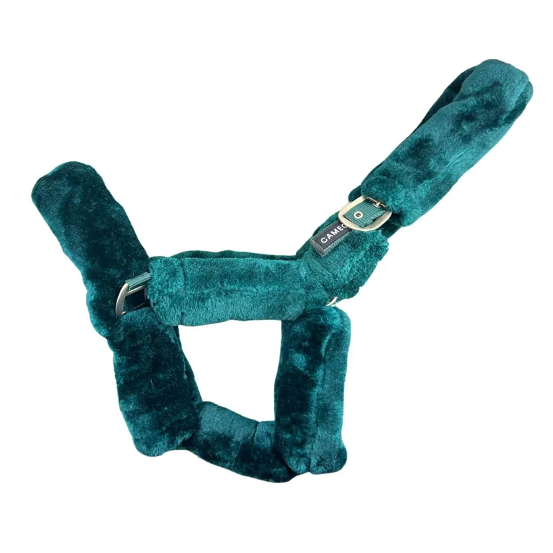Cameo Deluxe Headcollar - Green
