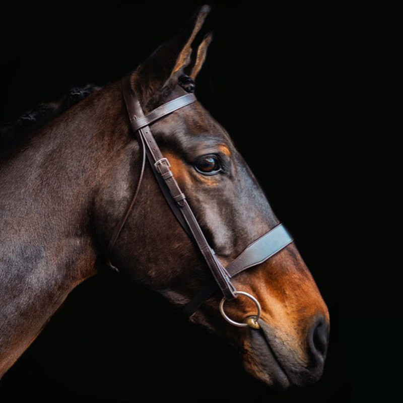 Cameo Hunt Bridle With 2 Browbands - Brown-1
