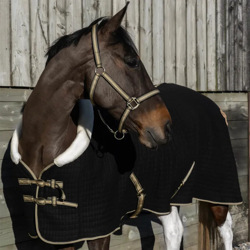 Cameo Core Collection Show Rug - Black