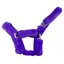 Cameo Deluxe Headcollar - Purple