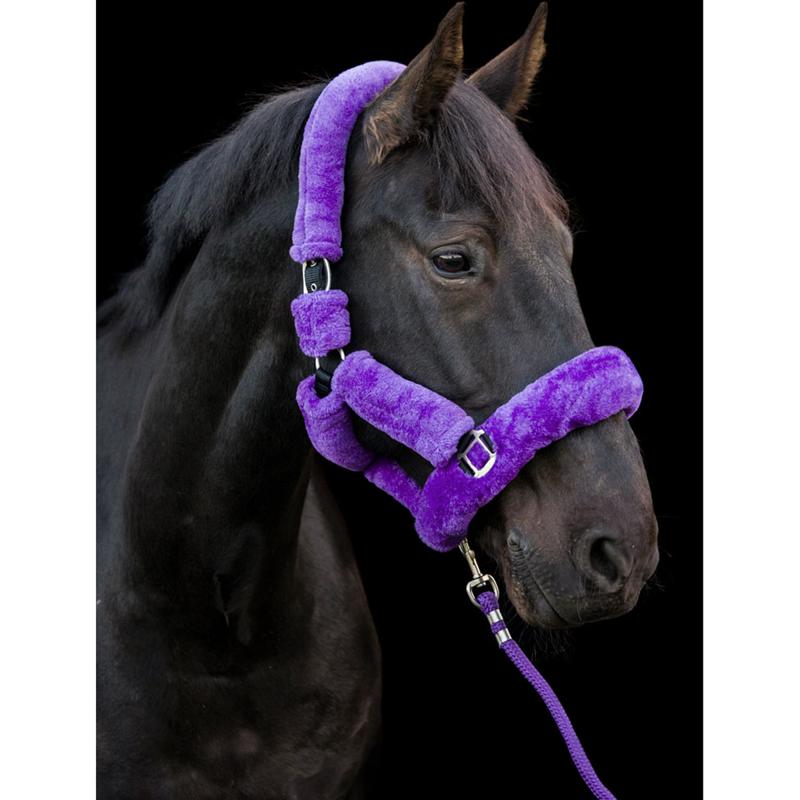 Cameo Deluxe Headcollar - Purple-2