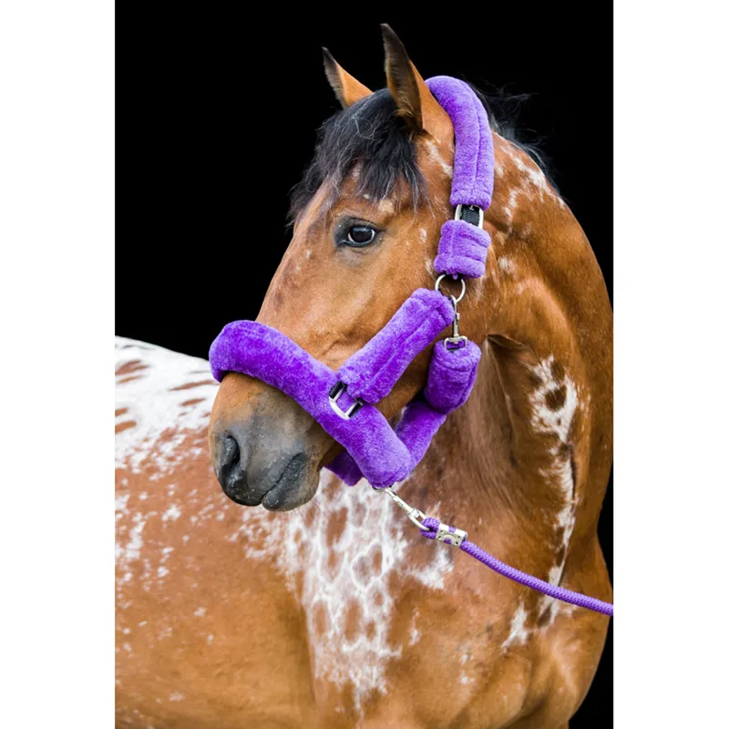 Cameo Deluxe Headcollar - Purple-1