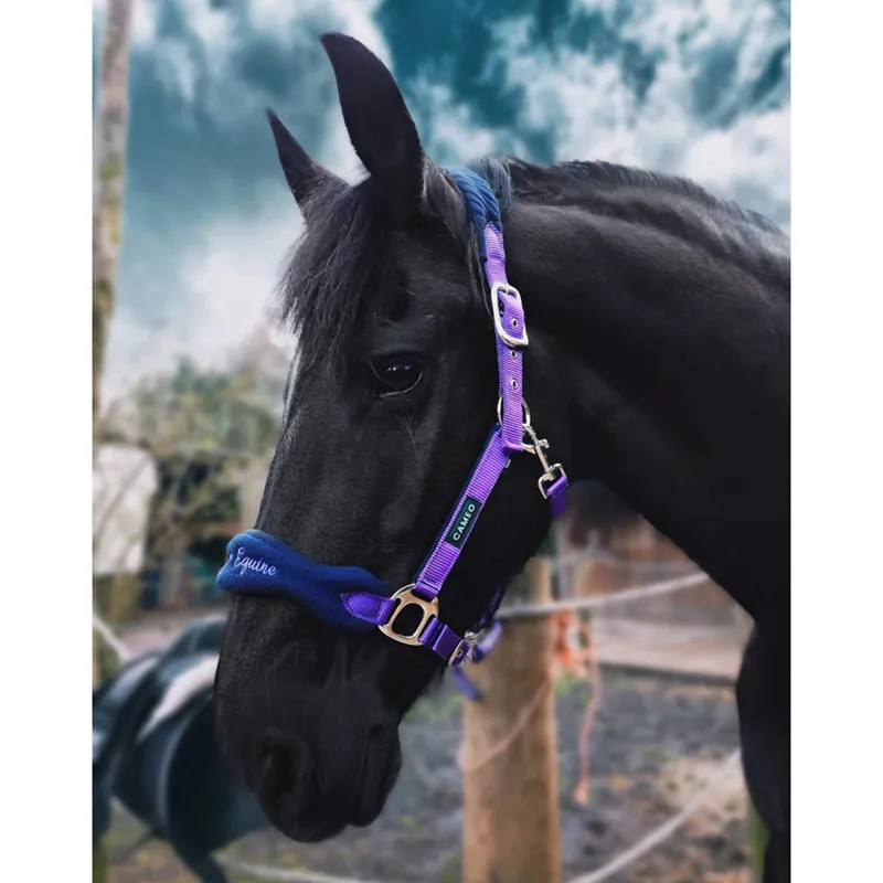 Cameo Elite Headcollar and Leadrope - Purple/Navy-1