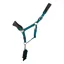 Cameo Elite Headcollar and Leadrope - Teal/Grey