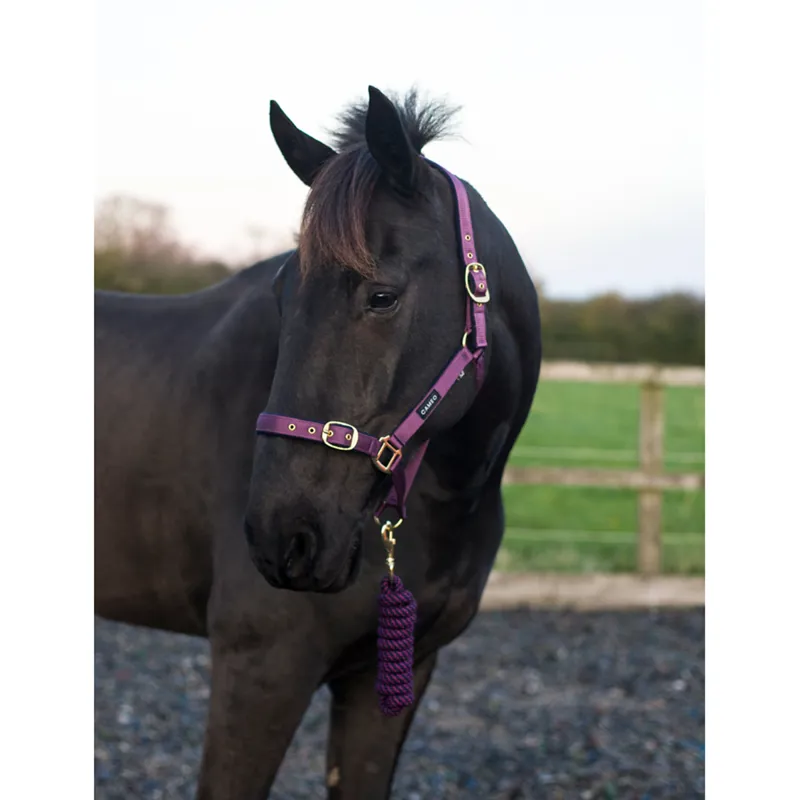 Cameo Supreme Headcollar and Leadrope - Aubergine-1