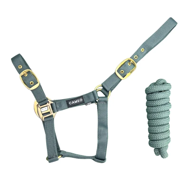 Cameo Supreme Headcollar and Leadrope - Teal