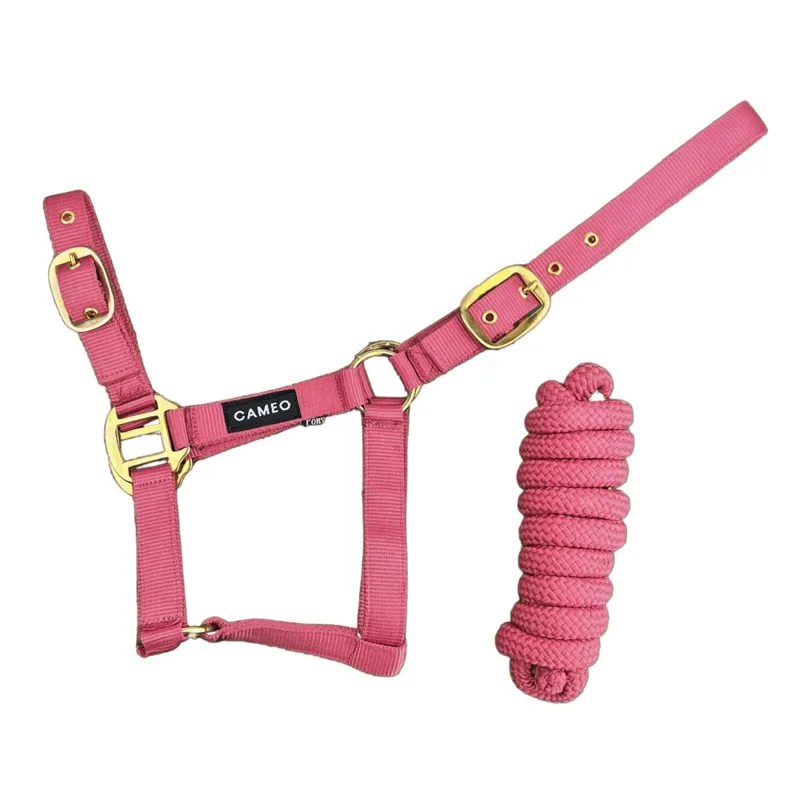 Cameo Supreme Headcollar and Leadrope - Terracotta