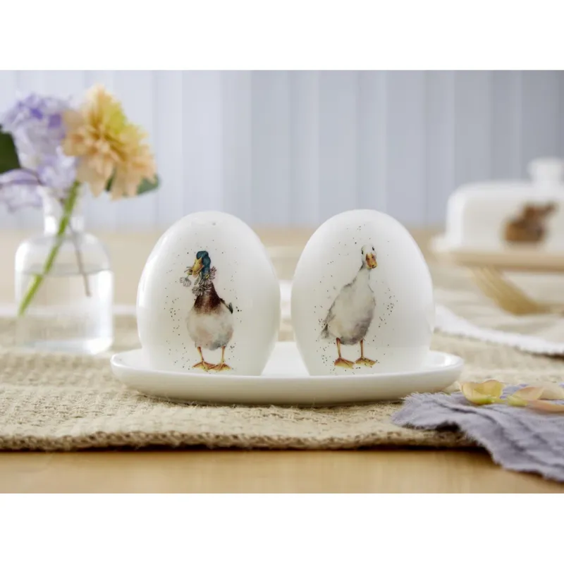 Portmeirion Wrendale Designs 'Not A Daisy Goes By' Duck Salt and Pepper Pots with Tray-2