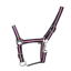 Hy Equestrian Economy Plus Two-Tone Head Collar - Navy/Baby Pink