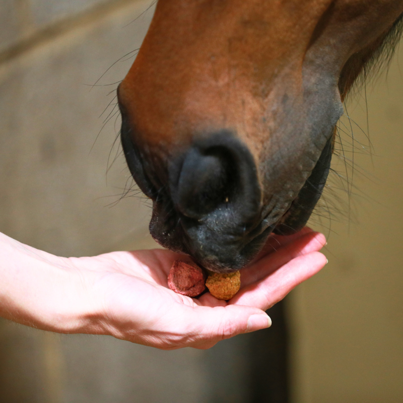 Equilibrium Crunchits Tropical - 750g-4