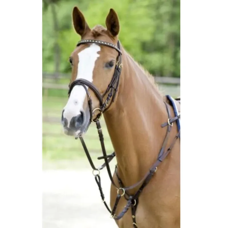 Schockemohle Race II Breastplate - Antique Brown/Gold