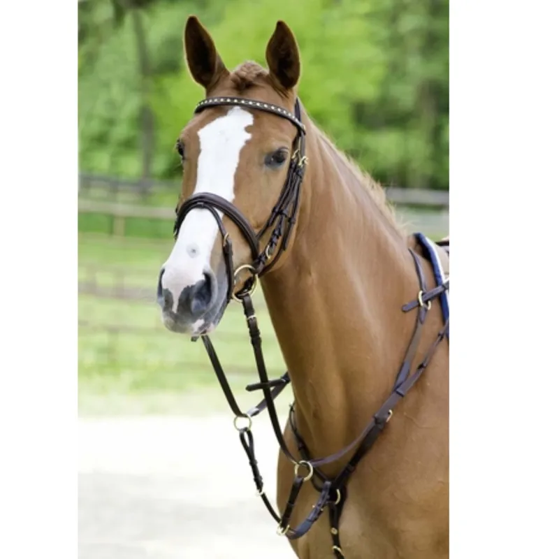Schockemohle Race II Breastplate - Black/Gold