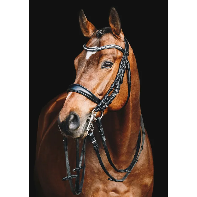 Schockemohle Equitus Gamma Double Bridle - Black/Patent/Silver