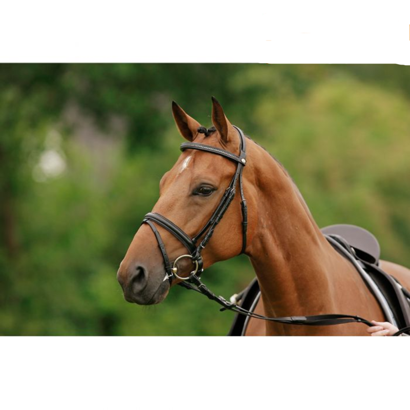 Schockemohle Stockholm-S Flash Bridle - Brown-1