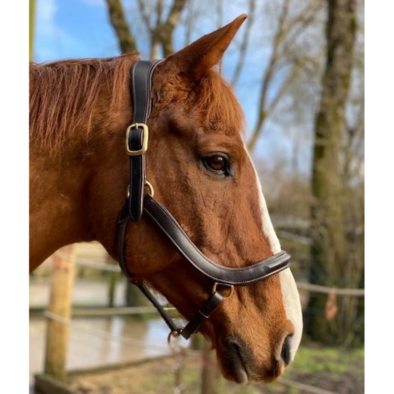 EcoRider Freedom Leather Headcollar - Brown-1