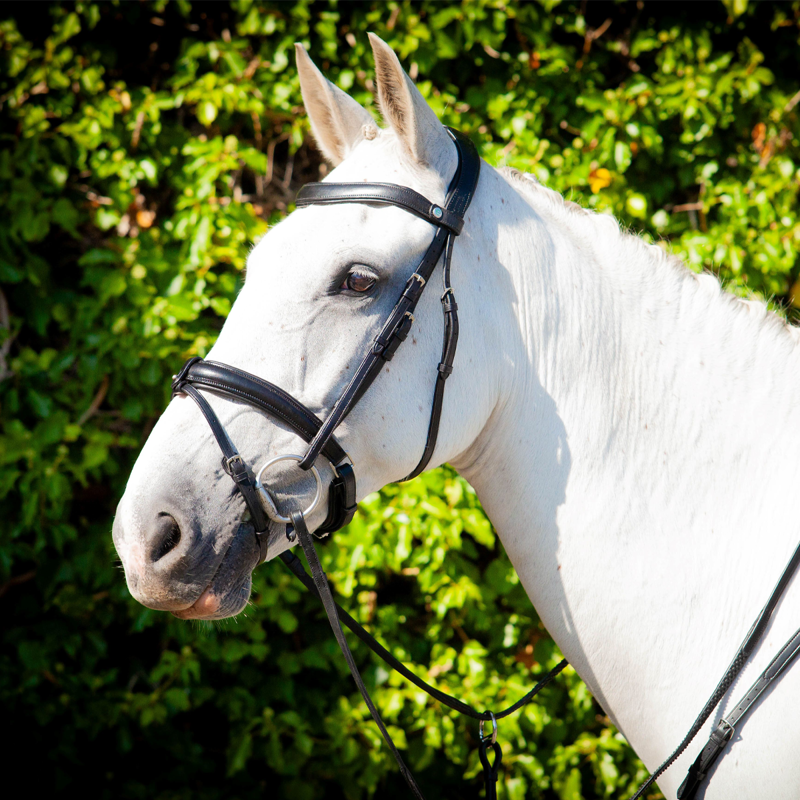 EcoRider Ultra Comfort Claddagh Bridle - Black-1