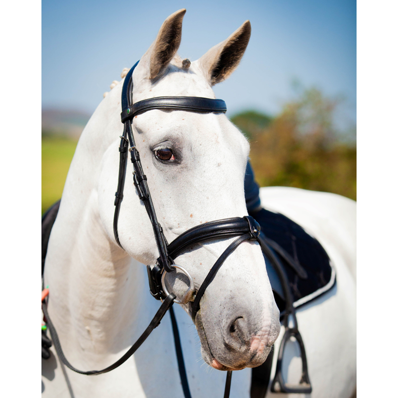 EcoRider Ultra Comfort Claddagh Bridle - Black-2