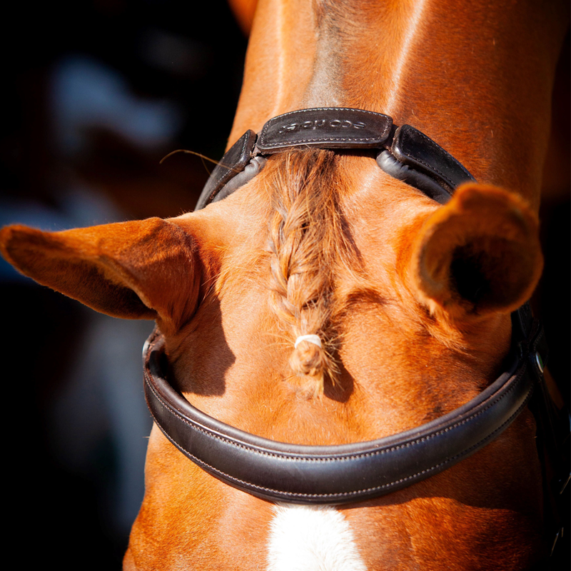EcoRider Ultra Comfort Claddagh Bridle - Brown-1